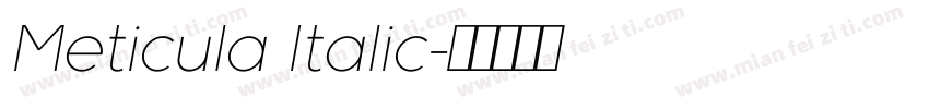 Meticula Italic字体转换